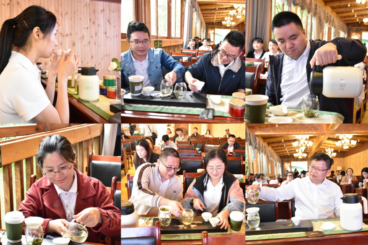 茶艺培训配图 茶艺培训配图